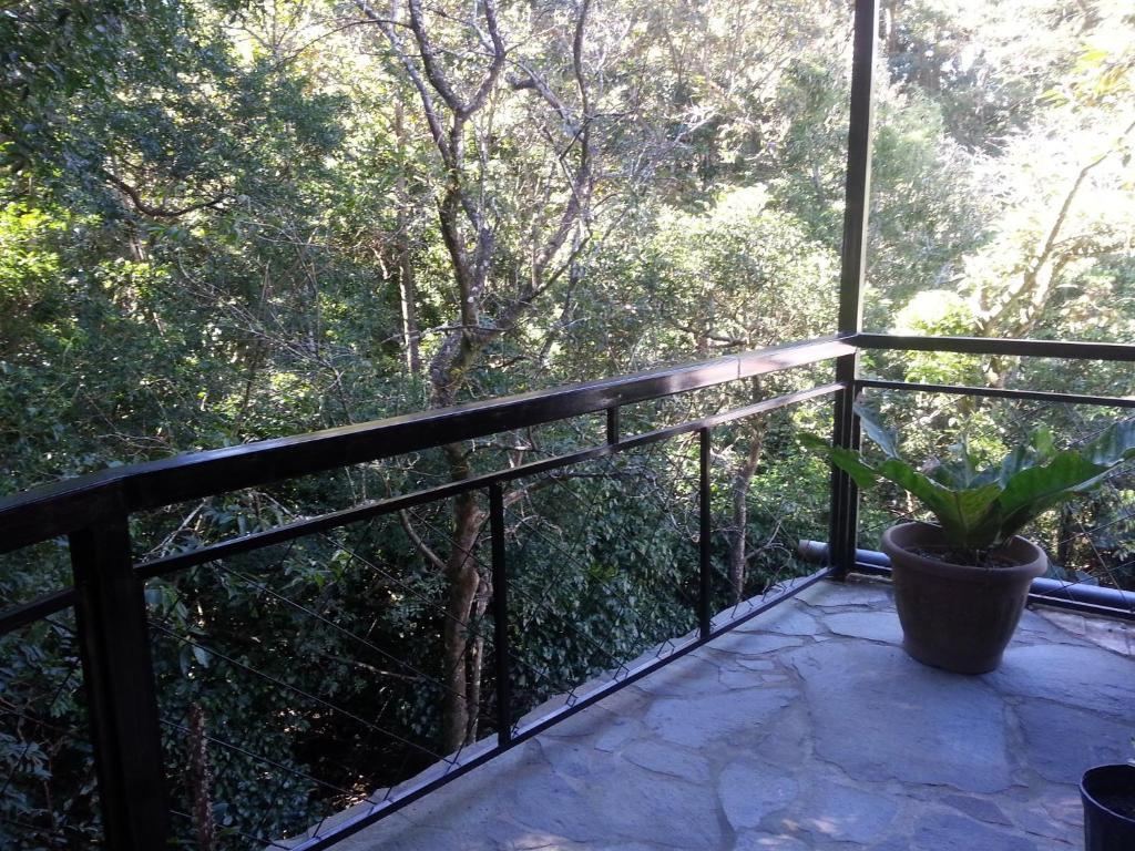 Manakin Lodge Monteverde Costa Rica Las Juntas Buitenkant foto