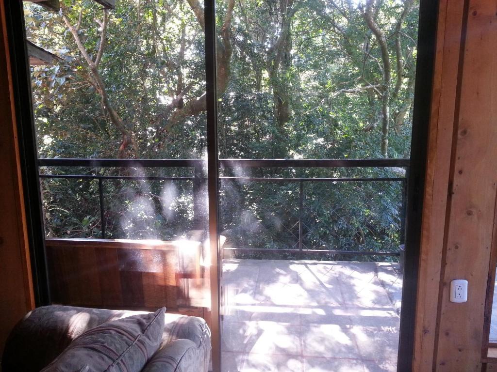 Manakin Lodge Monteverde Costa Rica Las Juntas Buitenkant foto